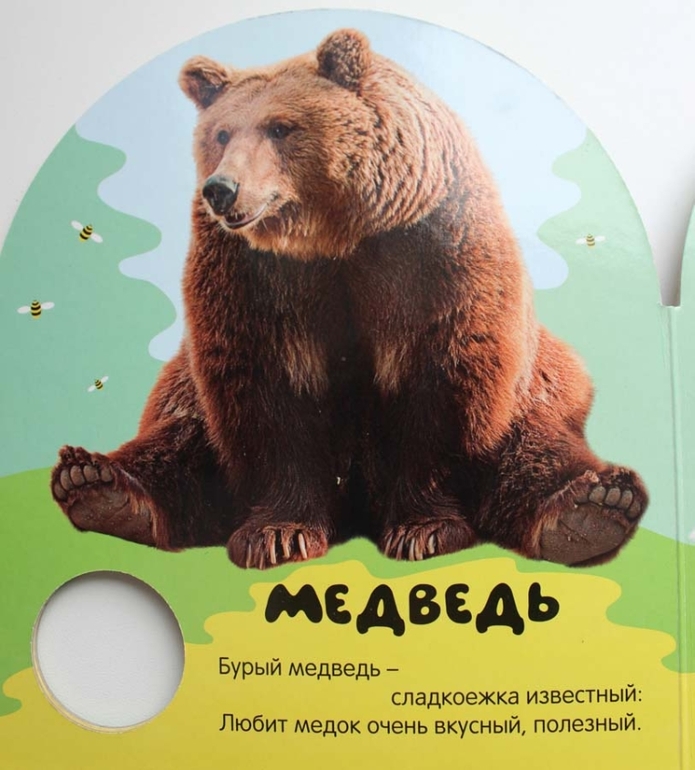 Наши книги до года