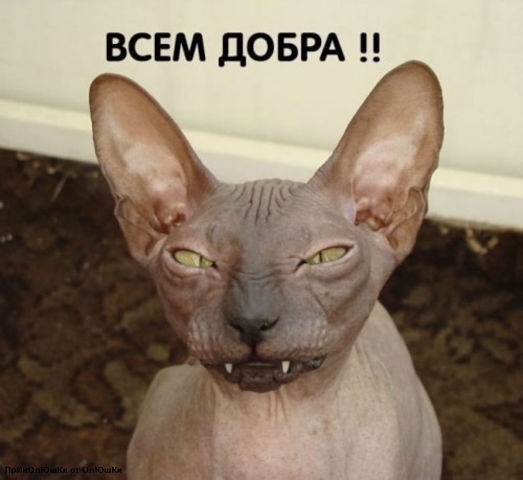 Время улыбнуться.