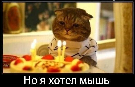 Про подарки