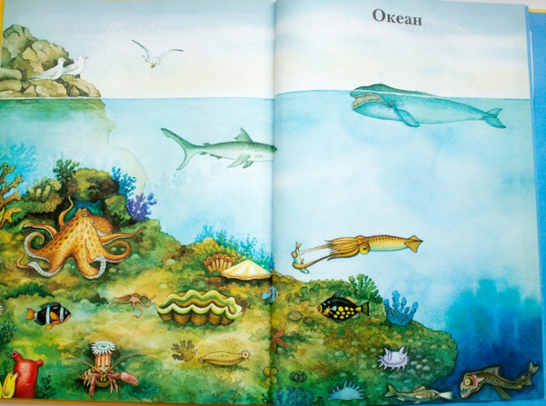 Наши книги до года