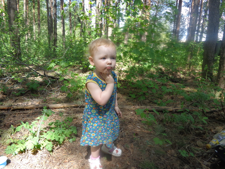 Гуляли в лесу