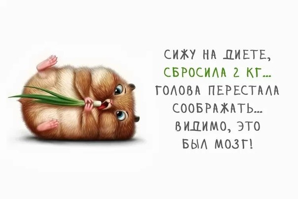 кучка картонок про похуделки