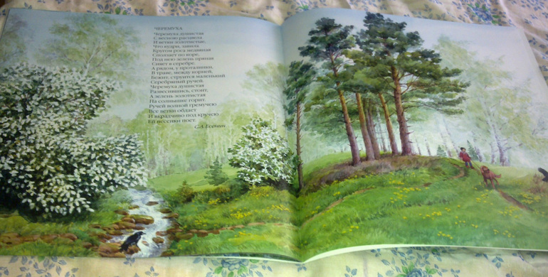 Новые поступления книжечек.