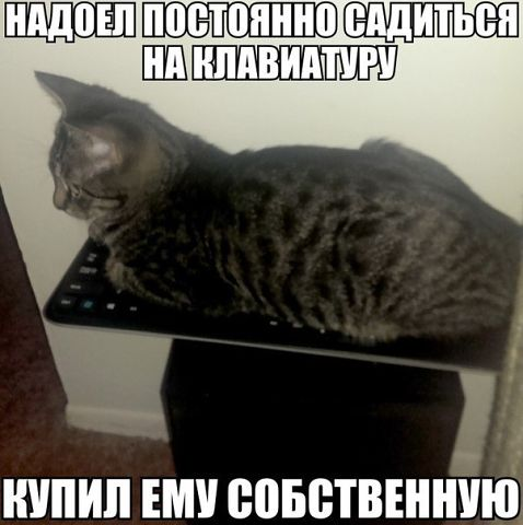 Время улыбнуться:)