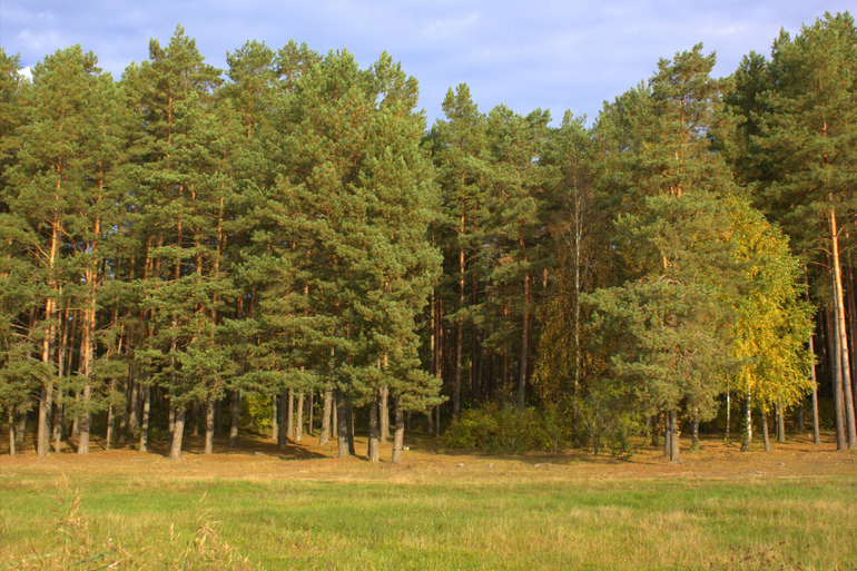 Барановичи. Осень 2013 г