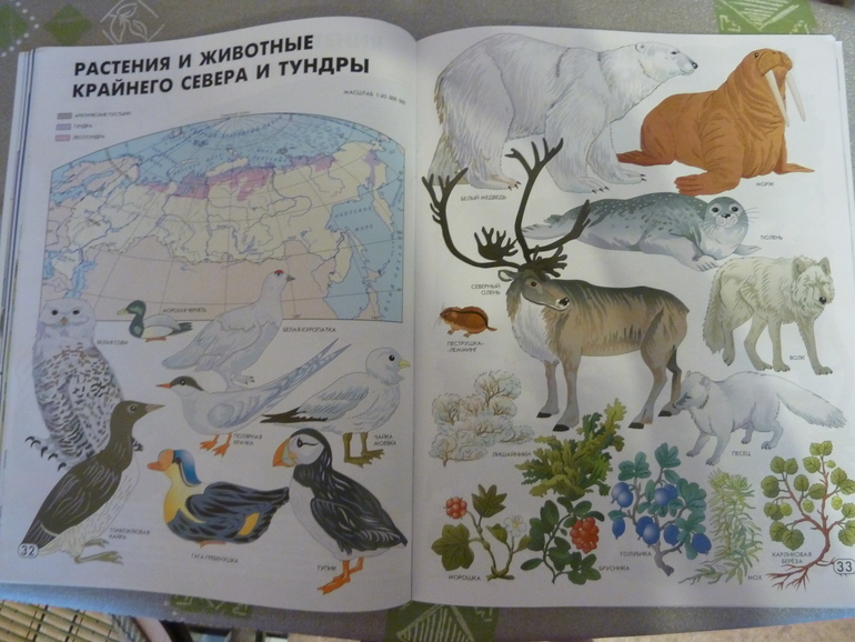 Мой заказик в E5