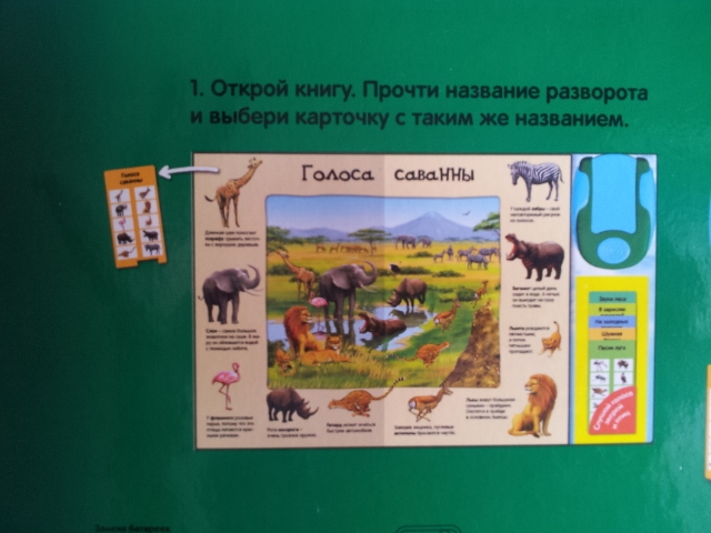 100 волшебных звуков или "Все голоса животных" в одной книге!!!!