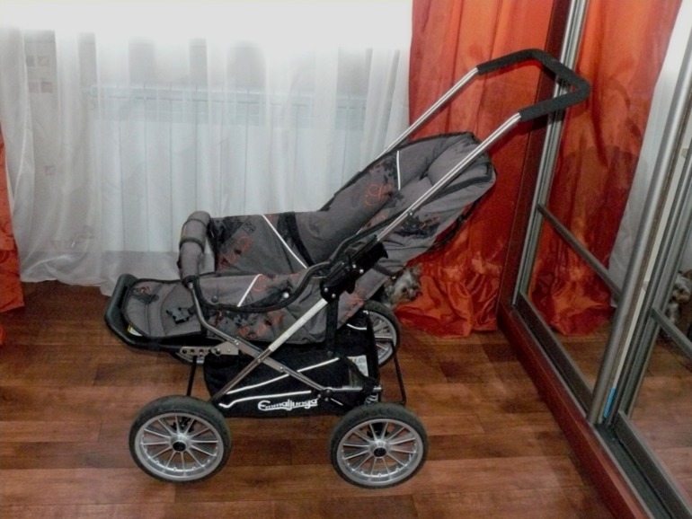 Emmaljunga Spider 2013 цвет Канвас Цена 5500!!! ТК за мой счет!!!