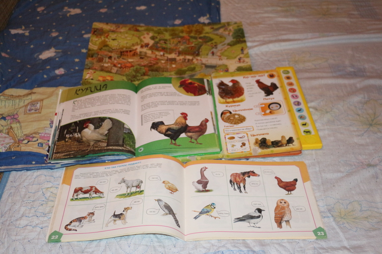 Отчет Курица, петух, цыпленок