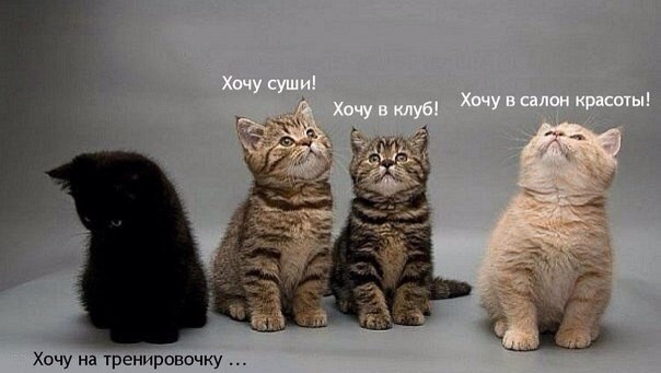 МС. День 22. Как ускорить метаболизм