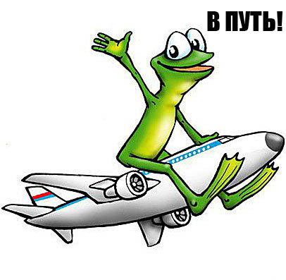 Куда на следующей неделе?