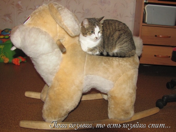 О ребятах и зверятах...