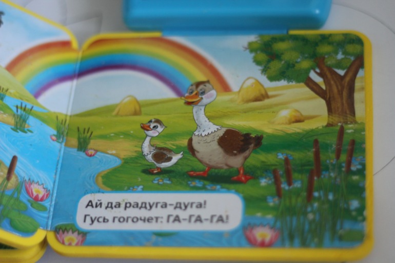 Птицы