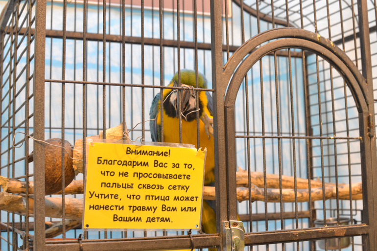 Московский Дом Бабочек