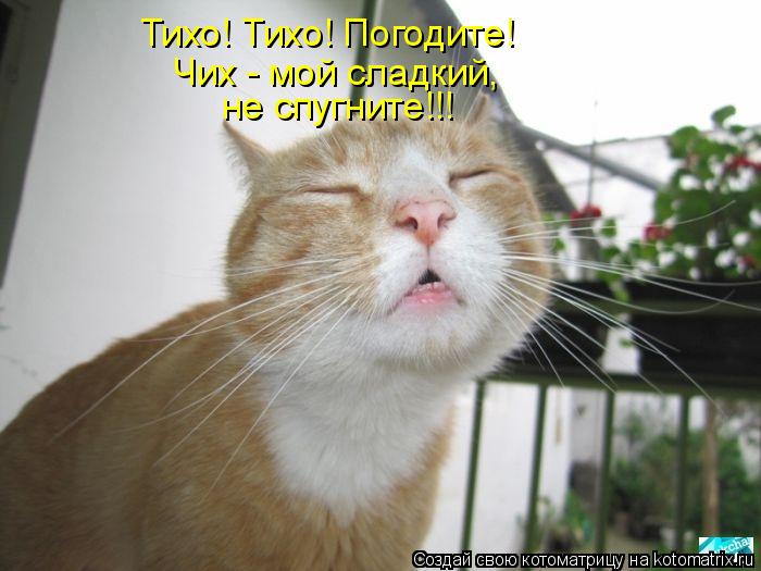 Хочу вас поддержать!!