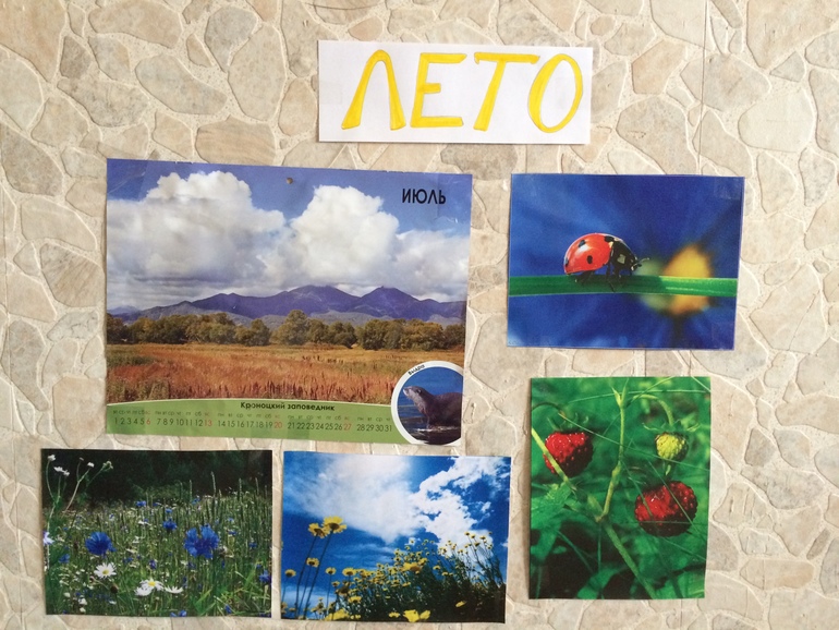 ТН Времена года. Лето.
