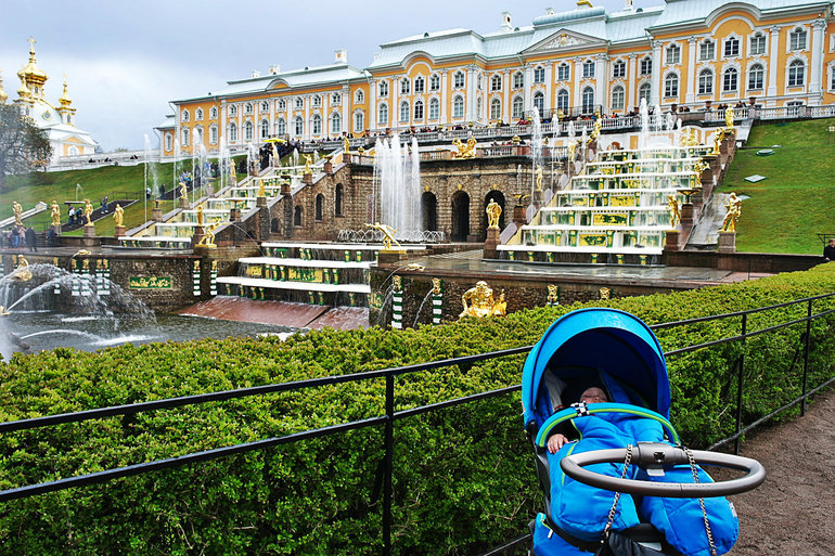 сегодня