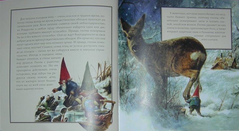 Книга - Рождество гномов!