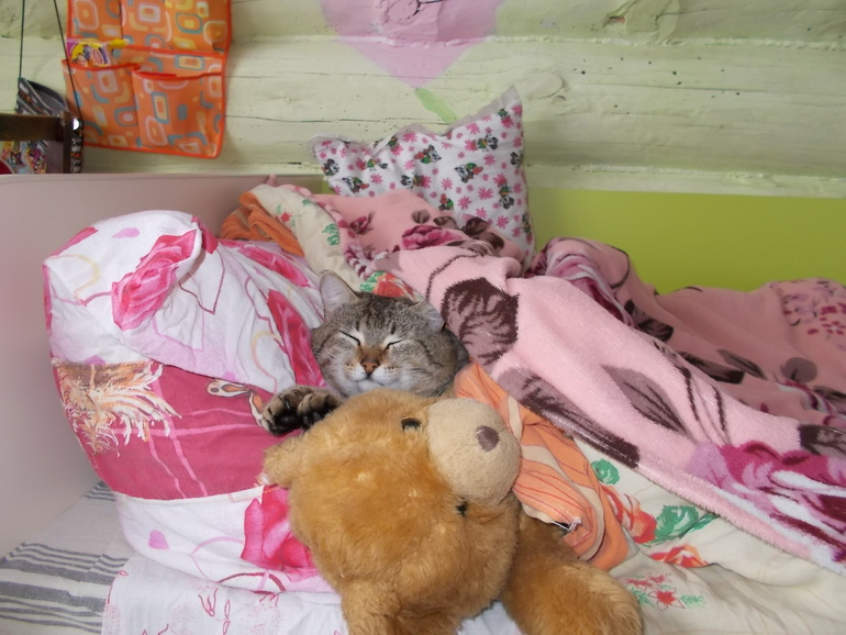 Предпочтения котэ