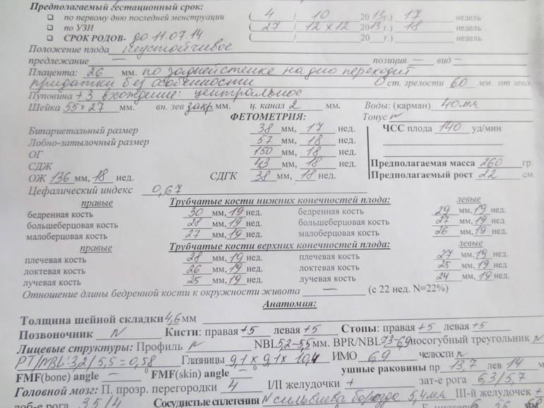 Незаконченное УЗИ...