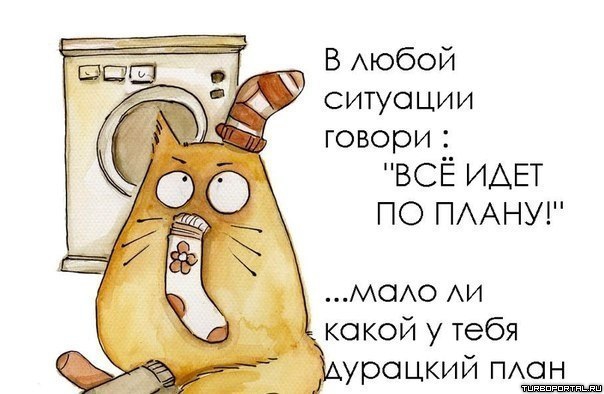 Приключенческий триллер "Папа в Детском саду"