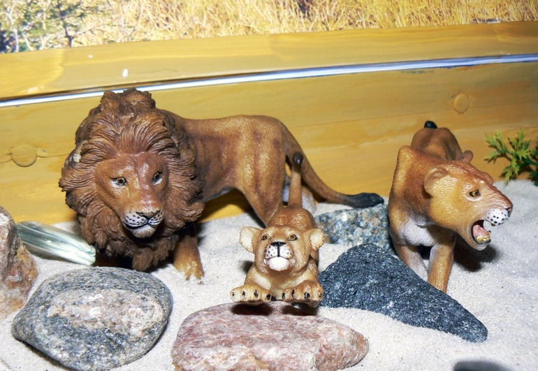 Сенсорная коробка