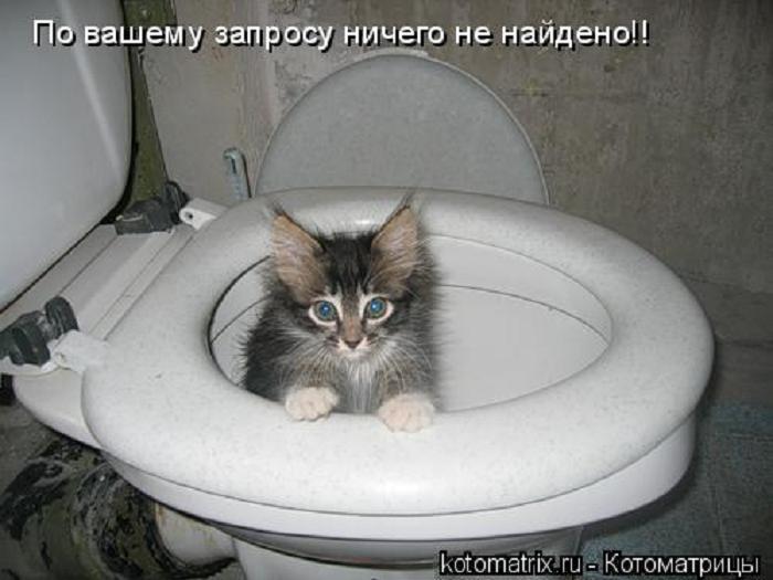 Мой взрослый сын