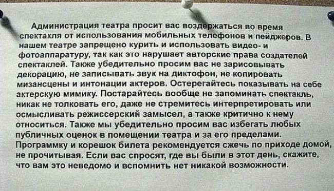 О кошках и не только...