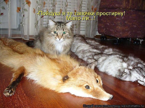 От улыбки, хмурый день светлей и даже ночь:)...
