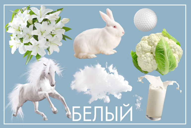 Цвета