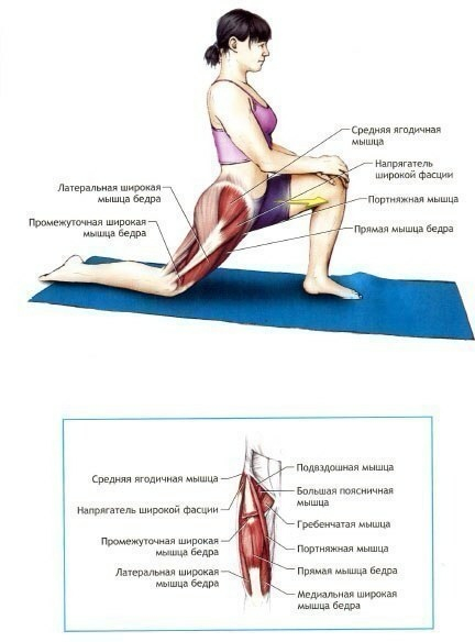 День 6. Физические нагрузки, ч. 2