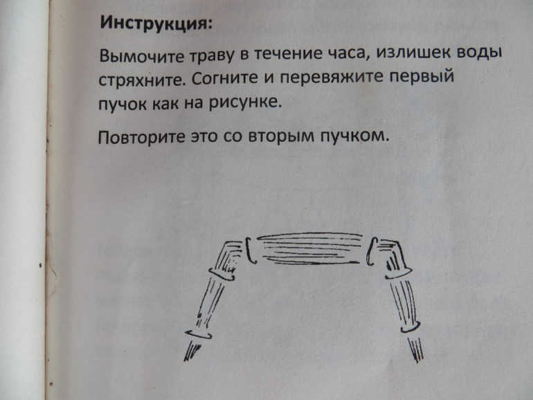 Лошадка
