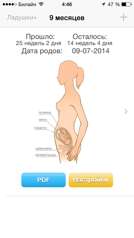 Мой хит-парад бесплатных приложений о беременности на Iphone.
