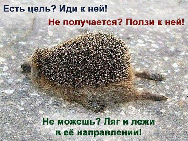 понравилось)))