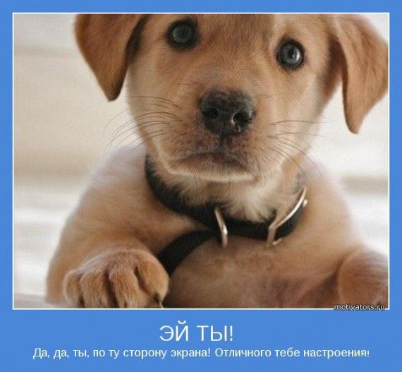 : ))