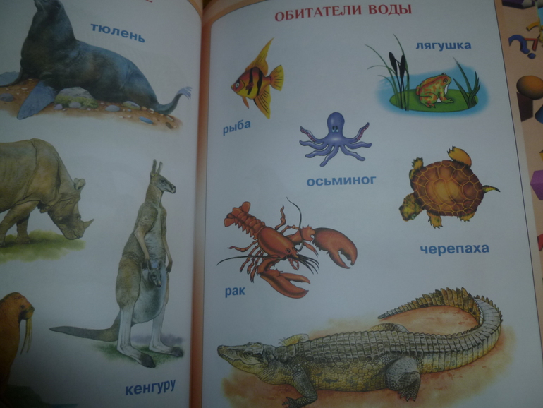 ТН "Море" 4 день.