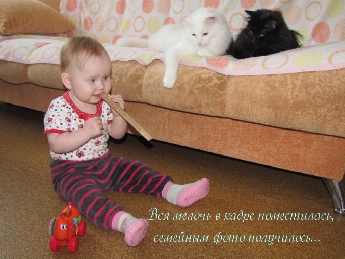О ребятах и зверятах...