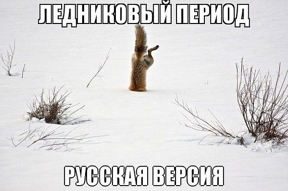 Время улыбнуться:)