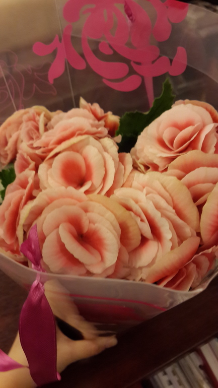мне сегодня 26
