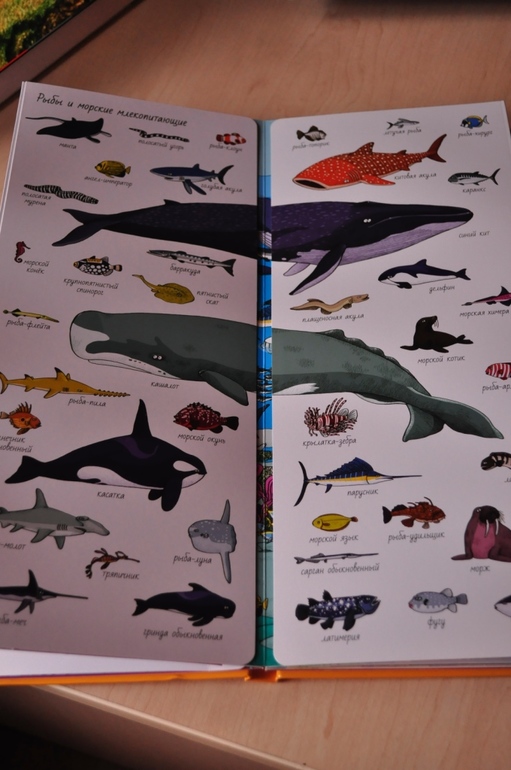 Еще книги.