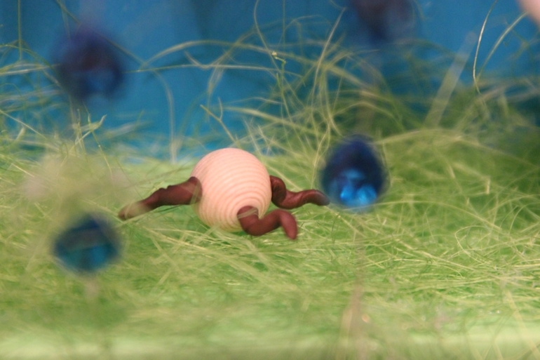 a little seed...
