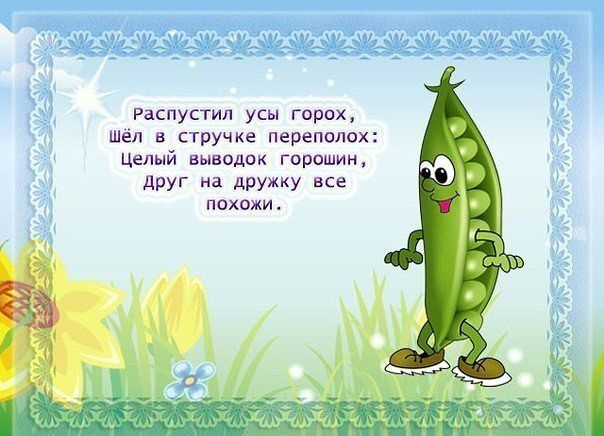 Веселые стихотворения про овощи.