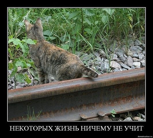 Улыбнуло.