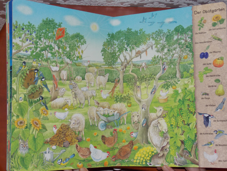 Развороты Mein erstes Wimmelbuch - Hecke und Garten