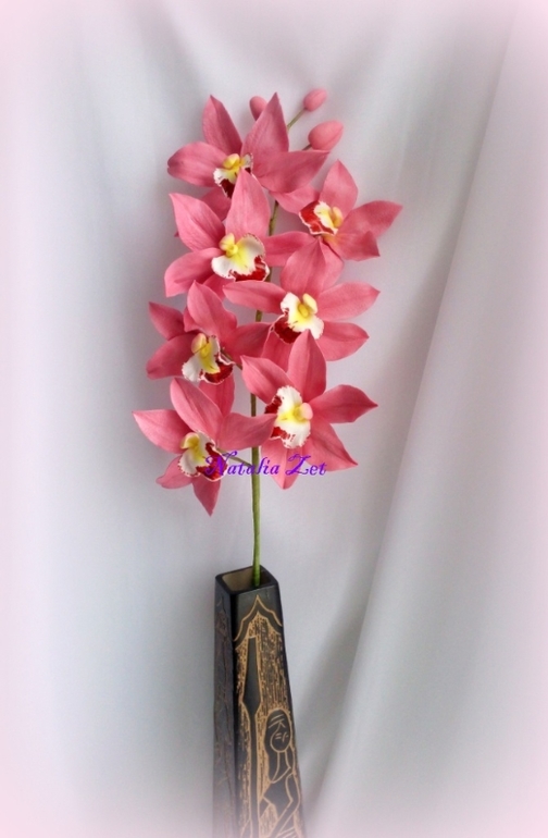Орхидея Цимбидиум