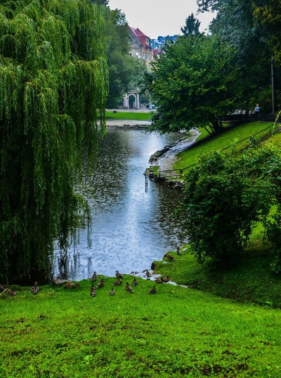 ЛЬВІВ