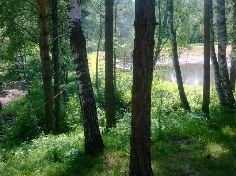 Отдыхали в чудном месте