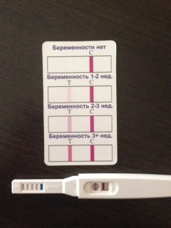 Вот наш/а Какашечка :)