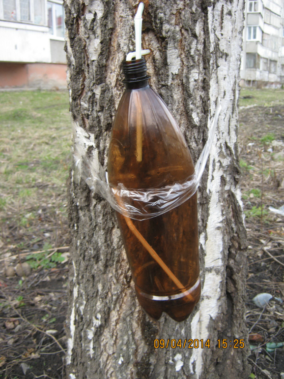 Весна