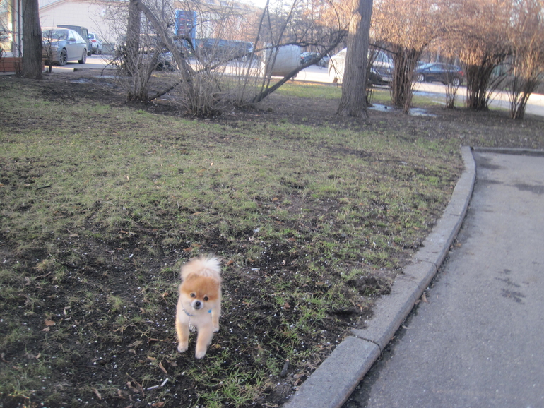 Весна в Лужниках